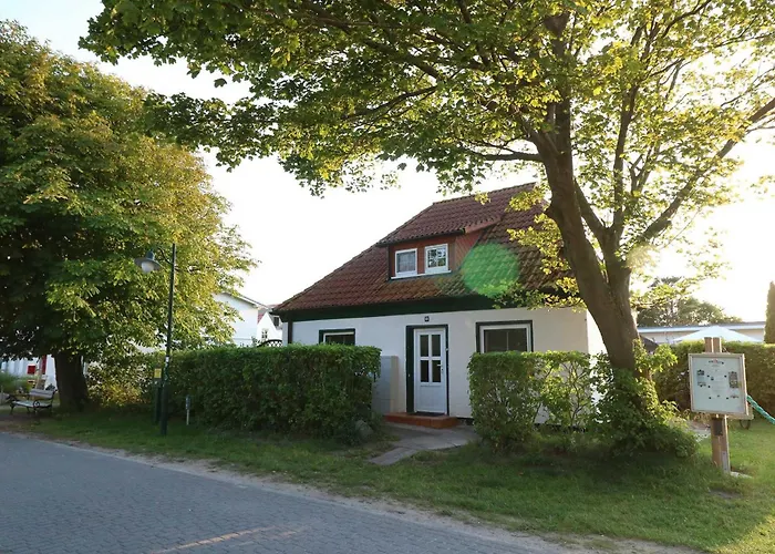 Bei Antje Timm Hiddensee